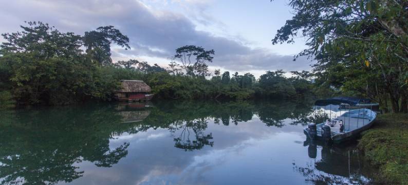 棉花树旅馆(Cotton Tree Lodge)图片