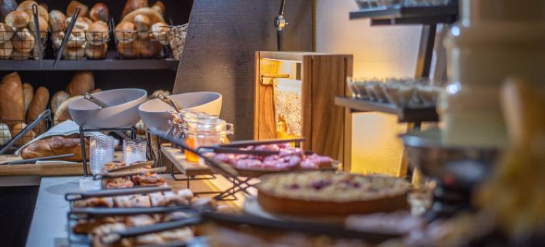 喀尔巴阡别墅(Hotel Carpathia)图片