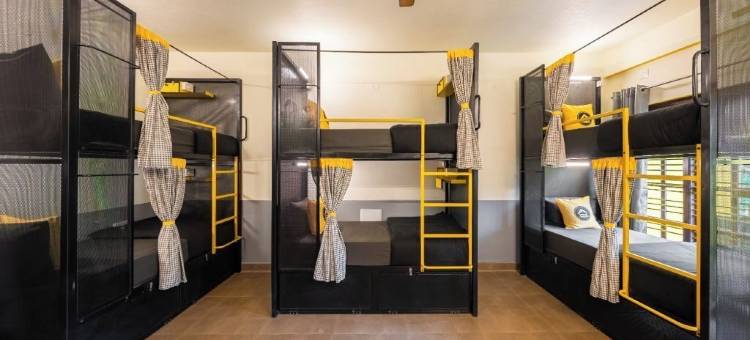 The Hosteller 库尔格雨林马迪凯里(The Hosteller Coorg Rainforest, Madikeri)图片
