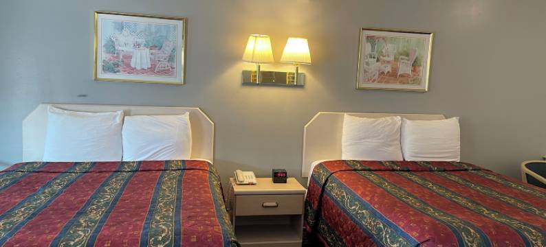 威利茨云雀汽车旅馆(Lark Motel Willits)图片