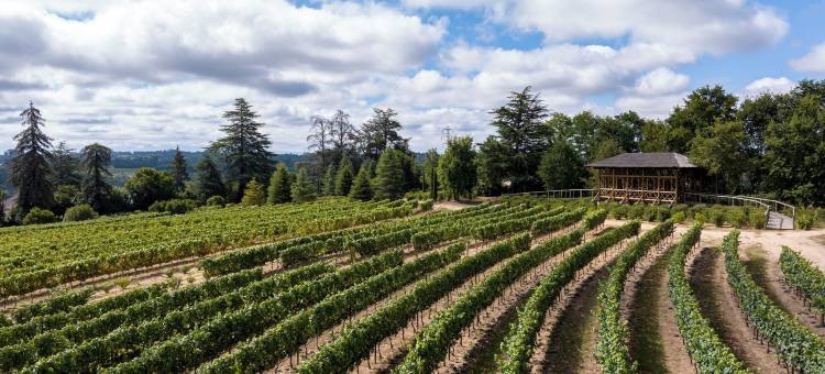 Valverde Santar 酒店及 SPA - Relais & Châteaux(Valverde Santar Hotel & SPA)图片