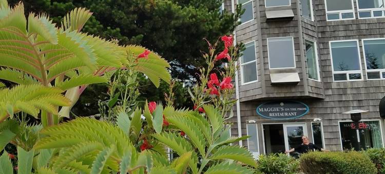 锡赛德宾馆(The Seaside Oceanfront Inn)图片