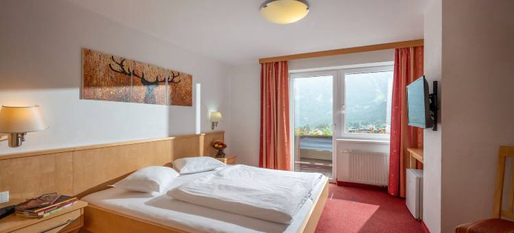 爱德维斯高山酒店(Alpenhotel Edelweiss)图片