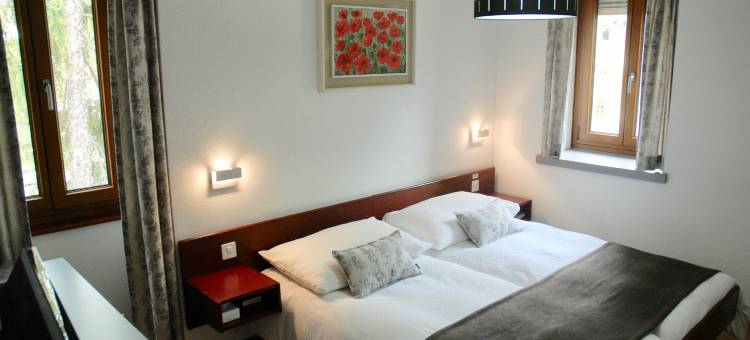 拉登杜米迪酒店(La Dent-Du-Midi Hôtel & Restaurant)图片