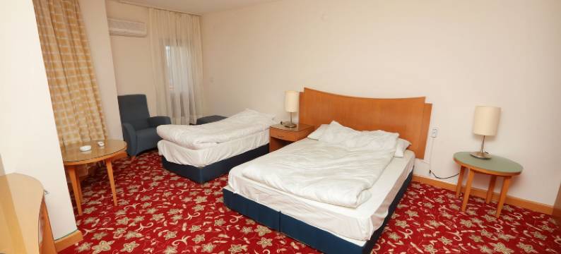 迪亚尔巴基尔酒店(Hotel Diyarbakir)图片