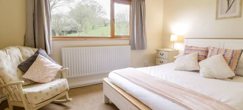 格罗斯利威迪酒店(Groes Lwyd)图片