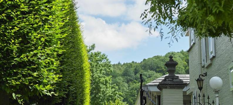 加尔普达尔浪漫公园酒店(Romantik Parkhotel Het Gulpdal)图片