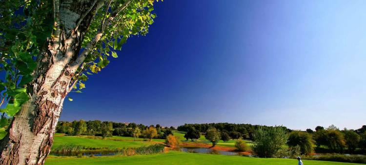 锡格拉斯涛特尔酒店(Cit'Hotel Hotel Las Cigalas)图片