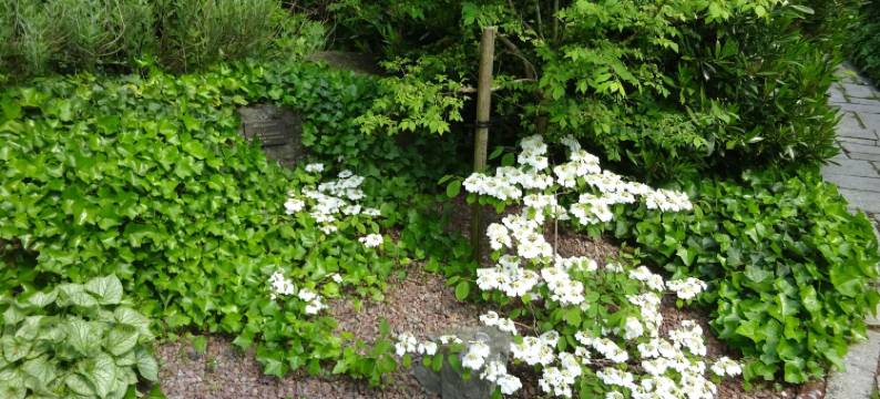 索尔罗森锡姆里斯港市酒店(Solrosen I Simrishamn - Österlen)图片