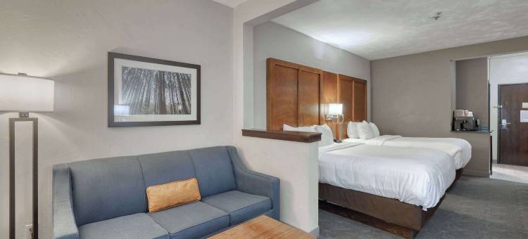 阿普尔顿机场舒适套房酒店(Comfort Suites Appleton Airport)图片