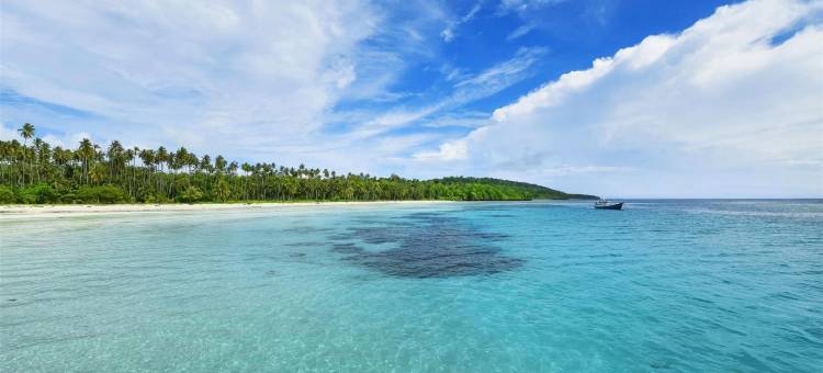 壁虎旅馆城市店(The Gecho Inn Town)图片