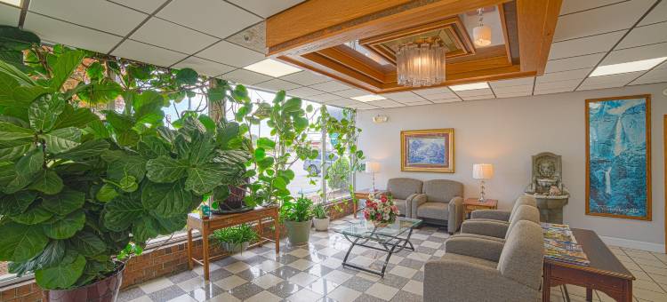 OYO 塞尔玛/史密斯菲尔德 I-95 名人酒店(Masters Inn Selma Smithfield I-95 by OYO)图片