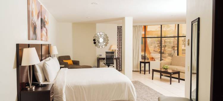 安第斯酒店(Hotel Los Andes)图片