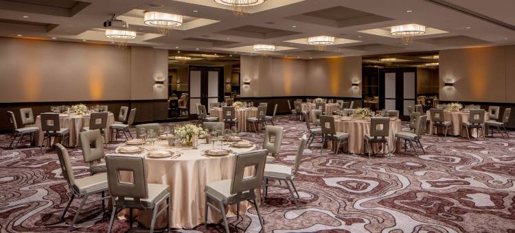 明尼亚波里城市希尔顿安泊酒店(Embassy Suites by Hilton Minneapolis Downtown)图片