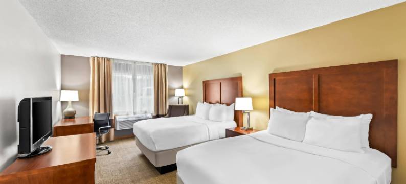 舒适酒店(Comfort Inn)图片