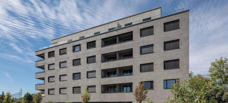 阿劳西瑞士品质公寓式酒店(Aparthotel-Aarau-West Swiss Quality)图片