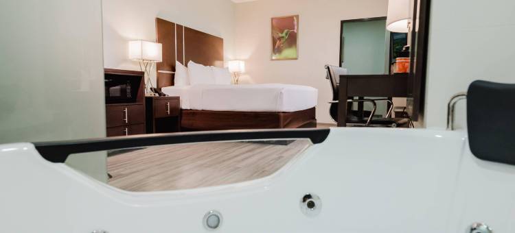 托巴哥的舒适酒店客房和套房(Comfort Inn & Suites Tobago)图片