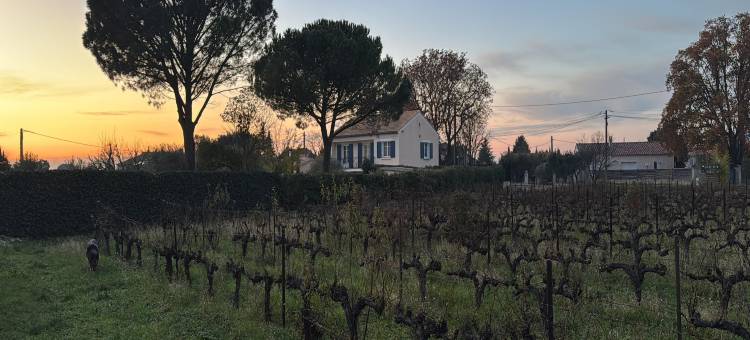 Relaxing Provence Hideaway图片