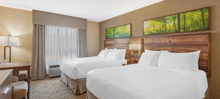 瓦尔蒙特贝斯特韦斯特优质套房酒店(Best Western Plus Valemount Inn  Suites)图片