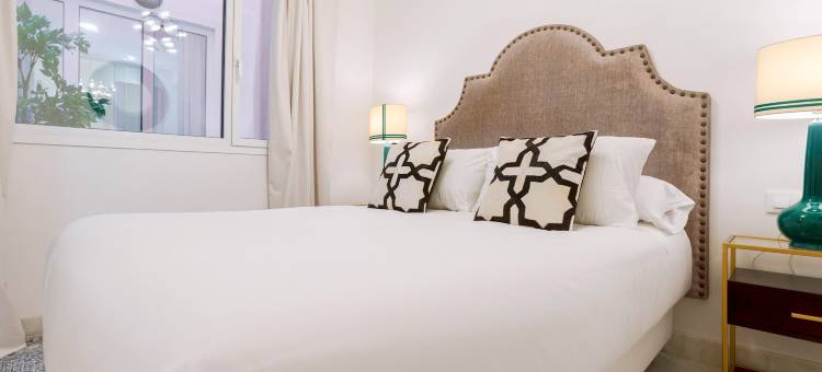 Beautiful one bedroom apartment  in the heart of Seville. Feria I图片