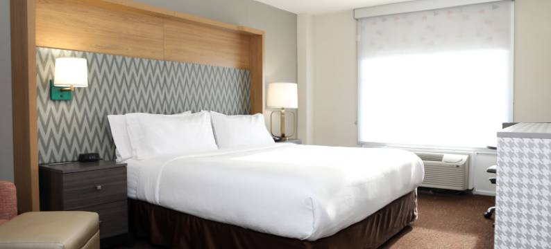 芝加哥奥黑尔区假日酒店(Holiday Inn CHICAGO O'HARE AREA by IHG)图片