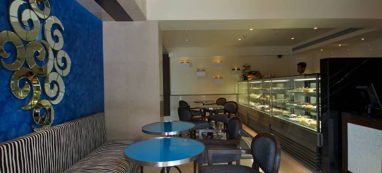 蓝钻石 IHCL 精选酒店(Blue Diamond Pune Ihcl SeleQtions)图片