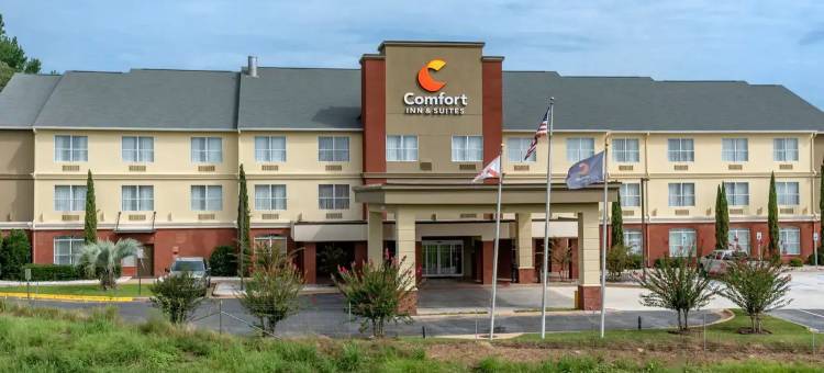 米尔布鲁克-普拉特维尔舒适套房酒店(Comfort Inn & Suites Millbrook-Prattville)图片