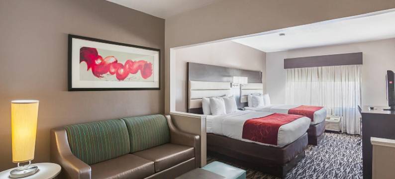 舒适套房酒店-李维斯维尔(Comfort Suites Lewisville)图片