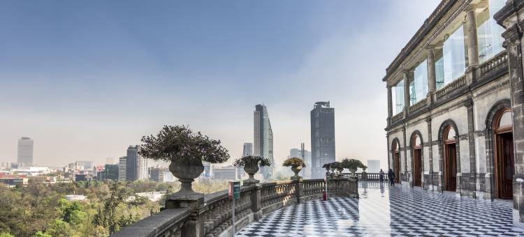 NH精选旅馆-墨西哥城圣达菲(NH Collection Santa Fe)图片