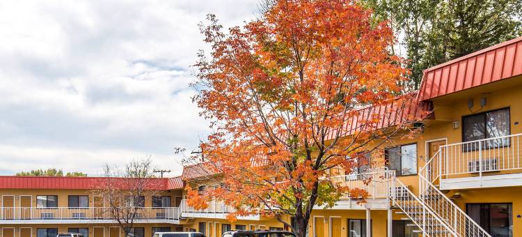 内华达议会大厦罗德威酒店(Rodeway Inn at Nevada State Capitol)图片