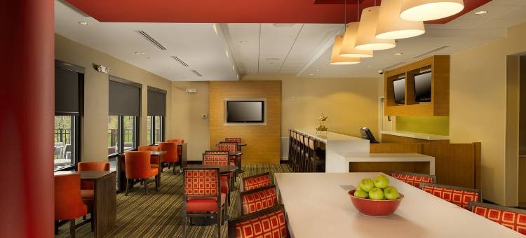 布里奇波特克拉克斯堡万豪TownePlace Suites 酒店(TownePlace Suites Bridgeport Clarksburg)图片