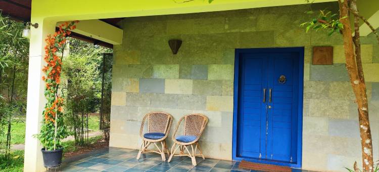 交谈树(Talking Trees)图片