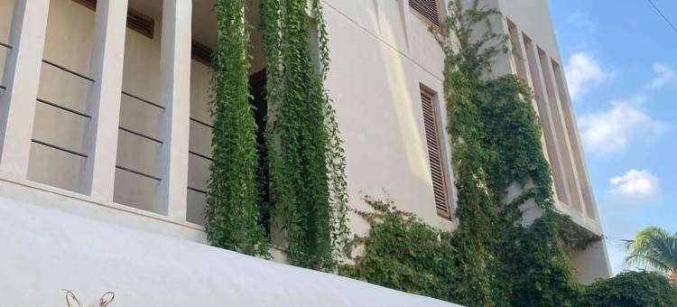 蓬塔莫雷洛斯(Condominios Punta Morelos)图片