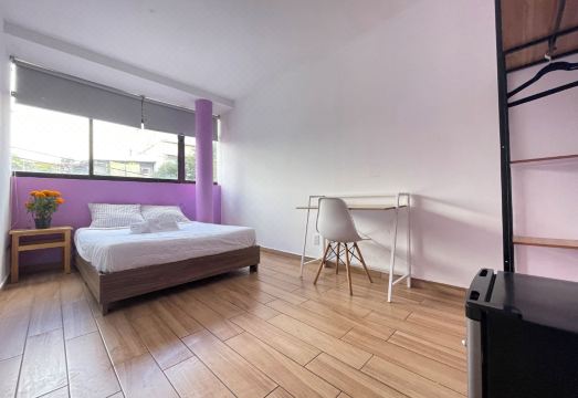 Colmena Hotel Cdmx Tonala Hotel Overview