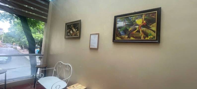 巴亭梦想家民宿(Ba Dinh le reveur Homestay)图片