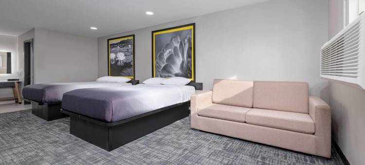 Super 8 BY 温德姆拉伯克机场(Super 8 by Wyndham Lubbock Airport)图片