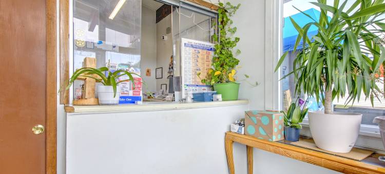 OYO 棕榈叶汽车旅馆(OYO Palm Leaf Motel)图片