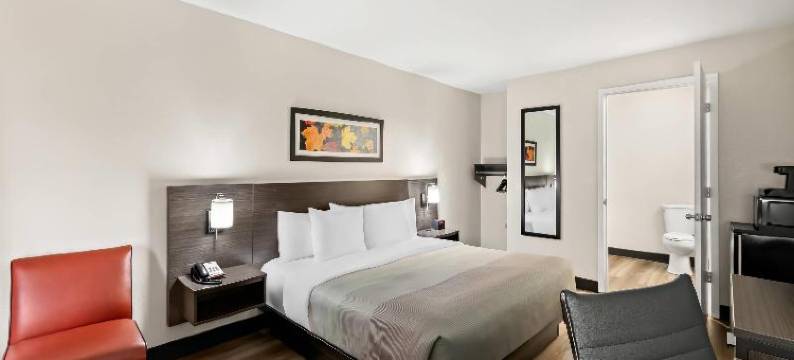 Quality Inn & Suites图片