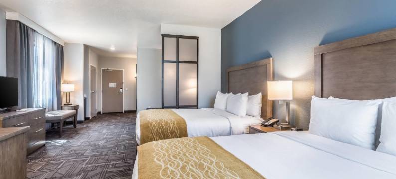 盐湖城机场舒适套房酒店(Comfort Inn & Suites Salt Lake City Airport)图片