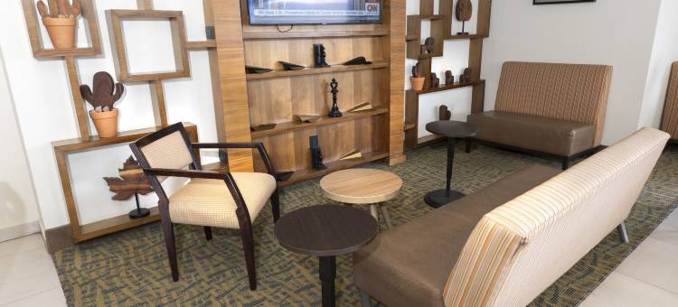 瓜达拉哈拉机场智选假日酒店(Holiday Inn Express GUADALAJARA AEROPUERTO by IHG)图片