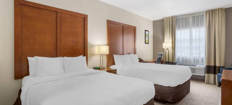 布伦纳姆舒适全套房酒店(Comfort Suites)图片