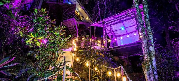卡萨德尔阿布罗树屋(限成人)(Hotel Casa del Arbol Manuel Antonio - Adults Only)图片