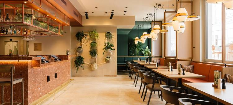 施安尼城市酒店(Hotel Schani City)图片