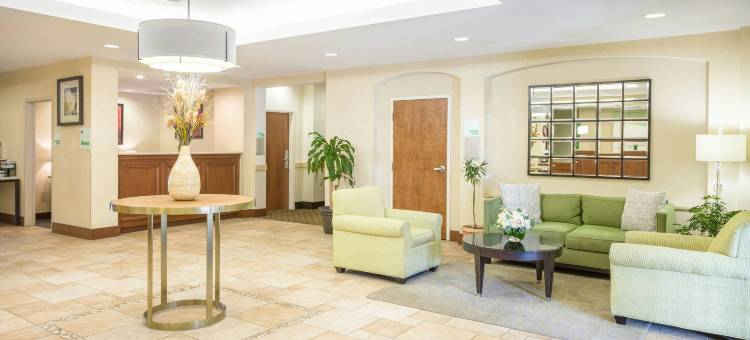 Holiday Inn 曼彻斯特机场(Holiday Inn MANCHESTER AIRPORT by IHG)图片