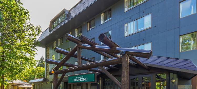 藏王温泉 BED'n ONSEN HAMMOND(名汤之宿 高见屋集团)(BED'n ONSEN HAMMOND)图片