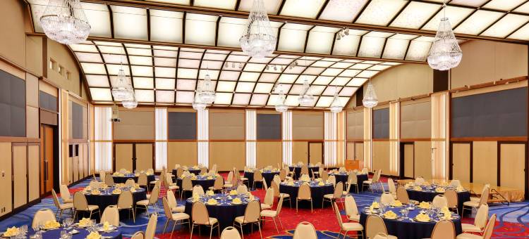 东京花园皇宫酒店(Hotel Tokyo Garden Palace)图片
