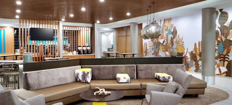 凤凰城斯科茨代尔SpringHill Suites酒店(SpringHill Suites Phoenix Scottsdale)图片