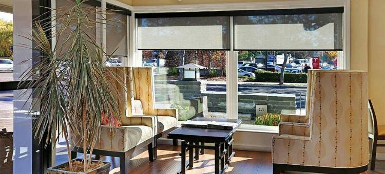 帕罗奥图禅酒店(The Zen Hotel Palo Alto)图片