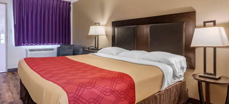 伊克诺旅馆-塞布林(Econo Lodge Sebring)图片