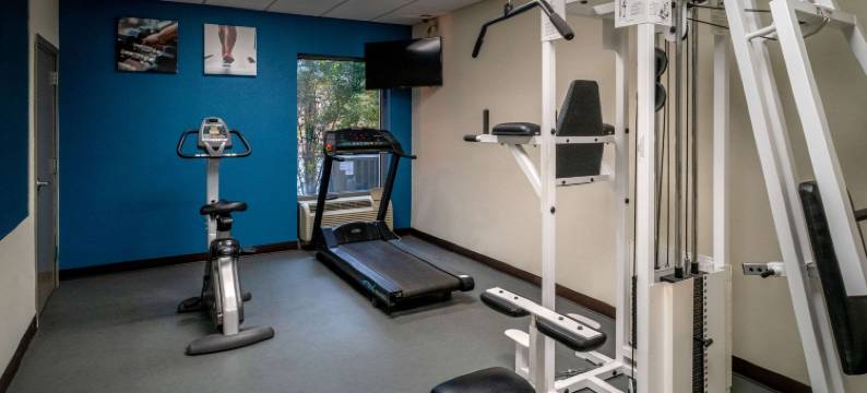 格伦迪舒适酒店及套房(Comfort Inn & Suites)图片